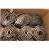 Image 1 : BOX W/ 6 COILS OF 3 1/4 IN. FRAMING NAILS