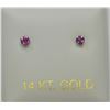 Image 1 : 14K WHITE GOLD RUBY (0.08CT) EARRINGS