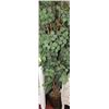 Image 1 : NEW ARTIFICIAL 6' FLOOR PLANT