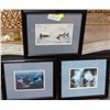 Image 1 : SET OF 3 SIGNED MUIR WHALE PICTURES