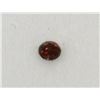 Image 1 : RED NATURAL DIAMOND (0.06CT)