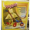 Image 1 : SPORTEX PLAYTOT TODDLERS BIKE W/ HANDLE