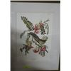 Image 1 : FRAMED BIRD PRINT