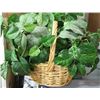 Image 1 : ARTIFICIAL PLANT WITH BASKET