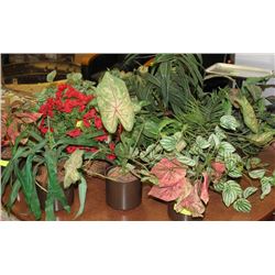 TABLE OF ARTIFICIAL PLANTS