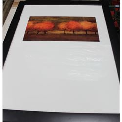 SHOWHOME BLACK FRAMED PRINT OF TREES