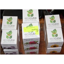 14 ECO CUBES - PLANTS IN A WOODEN CUBE