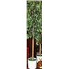 Image 1 : 81" ARTIFICIAL FIG TREE