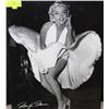 Image 1 : MARYLIN MONROE WALL HANGING