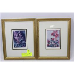 SET OF 2 FAIRY PICTURES