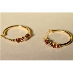 9K Gold Garnet & Diamond Earrings MSRP $550