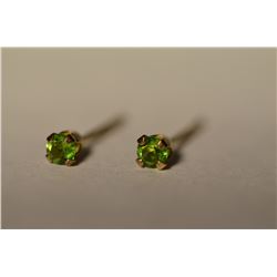 10K Gold Tsavorite Earrings