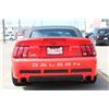 Image 6 : 2000 FORD MUSTANG SALEEN