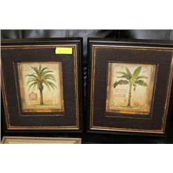 PAIR OF PALM TREE SHADOWBOXES