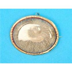 A Victorian oval brooch set with a specimen fossil, in gold wirework decorated frame...