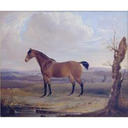 Attributed to Richard Ansdell (1815-1885) Oil on canvas, Portrait of a stallion in an extensive l...