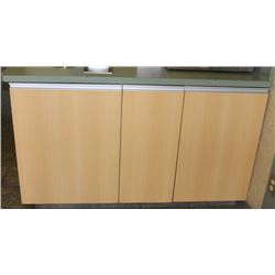 COUNTER W/ GARBAGE BIN