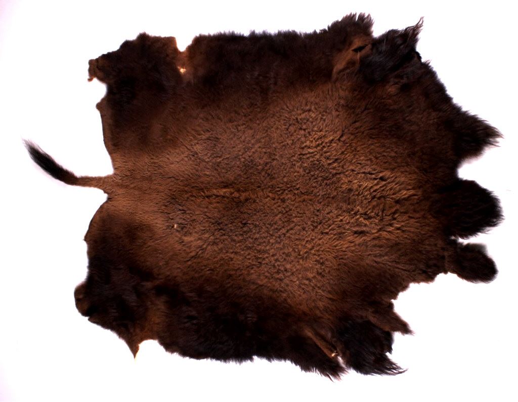 Montana Wild Buffalo Hide Rug