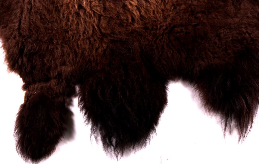 Montana Wild Buffalo Hide Rug