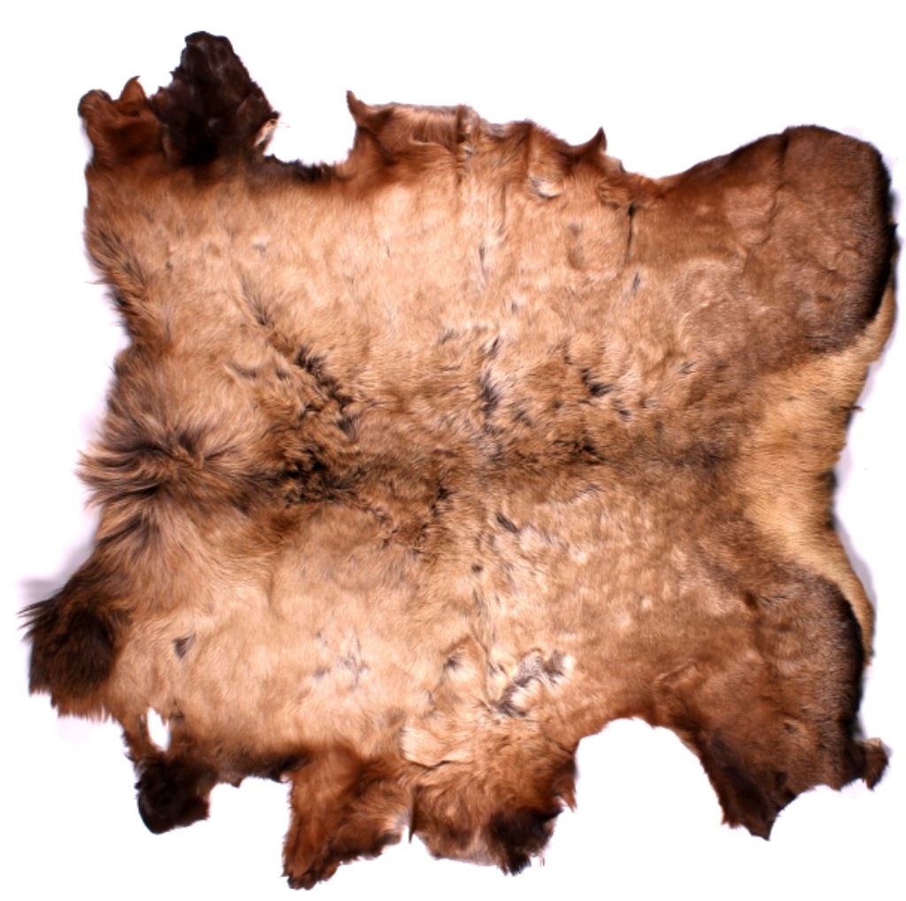 Tanned Montana Elk Hide