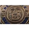 Image 3 : New York State Police 800 Octagon Badge