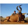Image 2 : South Africa 6 Day hunt for 2 Hunters and 2 Observers -