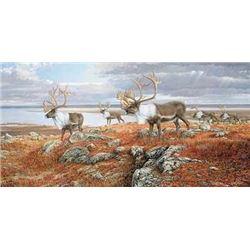 “On The Move” Caribou Print by Artist Van Gilder