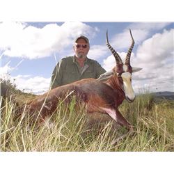 South Africa Hunt for 1 Hunter with 4 Animals included