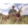 Image 1 : South Africa Hunt for 1 Hunter with 4 Animals included