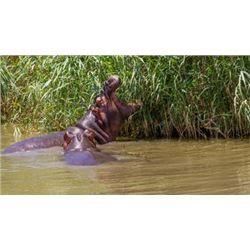 Luxury South Africa 6 Day/6Night Photo Safari for 2