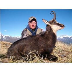 New Zealand 7 Day Alpine Chamois Hunt for 2 Hunters