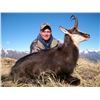 Image 1 : New Zealand 7 Day Alpine Chamois Hunt for 2 Hunters