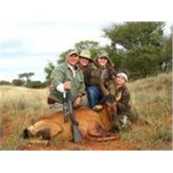 South Africa 10 Day Plainsgame and Bird Hunt with Fishing for 4 Hunters