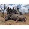 Image 1 : Tanzania 10 Day Cape Buffalo Hunt for one Hunter and 1