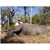 Image 1 : Australian 5 Day/6 Night Water Buffalo Hunt for 1 Hunter