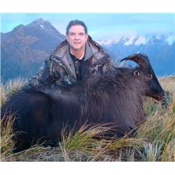 New Zealand 5 Day Hunt for 1 Hunter for a Free Range Tahr or Red Stag