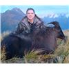 Image 1 : New Zealand 5 Day Hunt for 1 Hunter for a Free Range Tahr or Red Stag