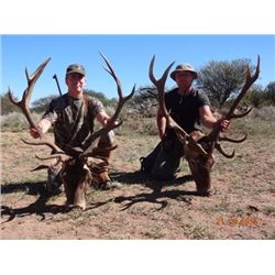 Argentina 5 Day Hunt for 2 Hunters with 4 Red Stags included