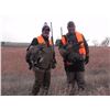 Image 6 : South Dakota 3 Day Pheasant Hunt for 2 Hunters