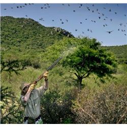 Argentina 4 Day/3 Night Dove Hunt for 2