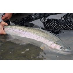 Kenai River Cast and Blast Duck Hunting and Fishing for 2