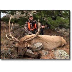 Cow Elk Hunt with Timber Canyon Ranch Outfitting