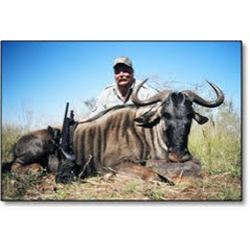 Namibia Plains Game Hunt with Nolte Elite Safaris