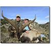 Image 1 : Spanish Hunt with Juan Toquero of Toquero Hunting Services
