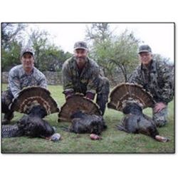 Rio Grande Wild Turkey Hunt with Rio Bonito Ranch