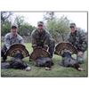 Image 1 : Rio Grande Wild Turkey Hunt with Rio Bonito Ranch