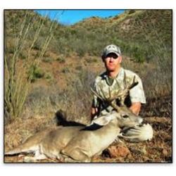 Mexican Coues Deer Hunt at Toloso