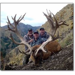 South Pacific Red Stag Hunt with Spey Creek Trophy Hunting