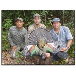 Mexican Jungle Species Hunt with Balam Outfitters in Campeche
