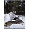 Image 1 : North American Wolf Hunt with Kap River Outfitters